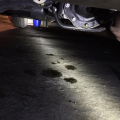 rear differential vent leaking