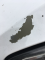 paint chipping