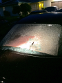 rear windshield shattered