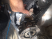 metallic particles in transfer case oil