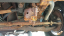 rusted from frame to steering linkage