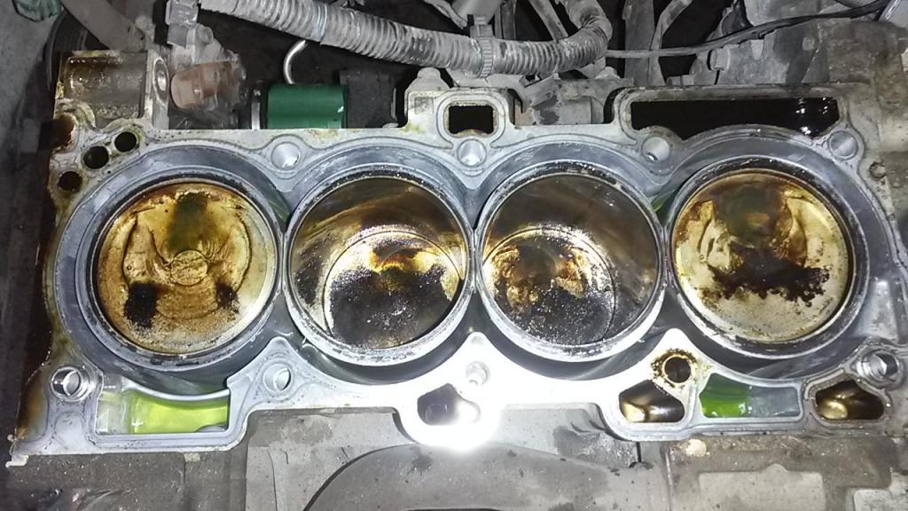 Blown head gasket symptoms nissan altima #4