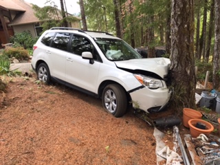 White Forester against a tree with its front hood crumpled