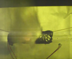 Takata Airbag Explosion Filmed in Slow Motion