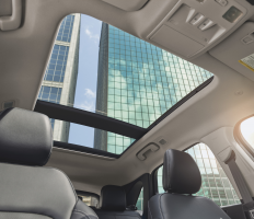 Ford Sunroof Class Action Lawsuit Alive on Appeal