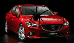 Spiders Cause Mazda to Recall Mazda6 For Second Time