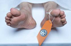 Study: 59 Deaths in U.S. Due To Excess Volkswagen Emissions