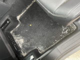 mold under matts in backseat driver side