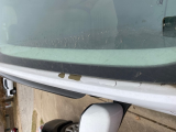 paint peel around windshield