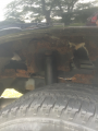 excessive wheel well/shock tower rust