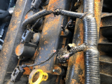 rats chewing engine wiring harness