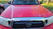 paint is chipping/peeling