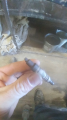 spark plug pops out of head