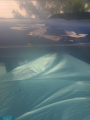 poor paint job on roof of car