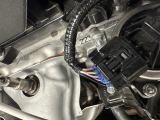 rodents chewing wiring