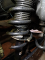 broken coil springs