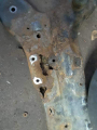 subframe rusted out