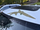paint is peeling in sheets from the roof