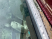 door panels warping/lifting