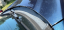 paint issues