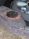 premature brake and rotor wear