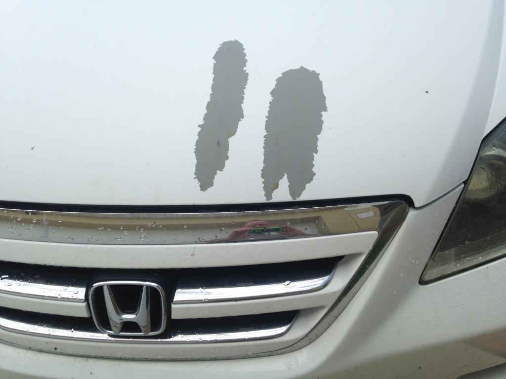 2007 Honda Odyssey Paint Peeling 