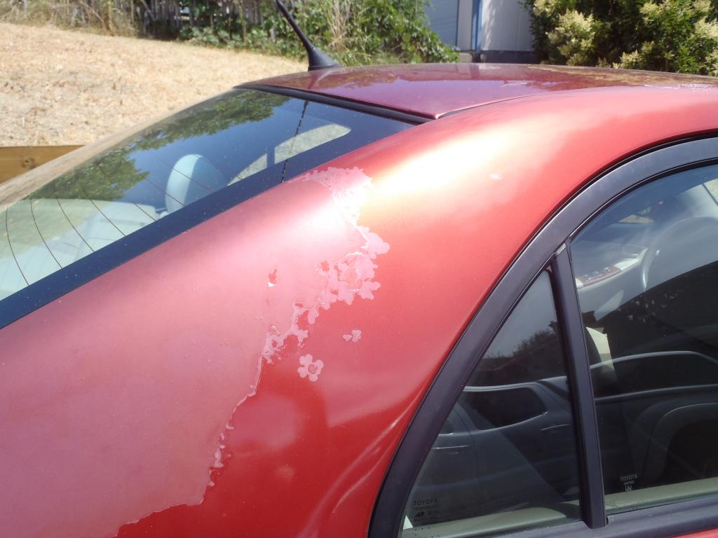 2013 Toyota Corolla clear coat seems to be peeling off. Started