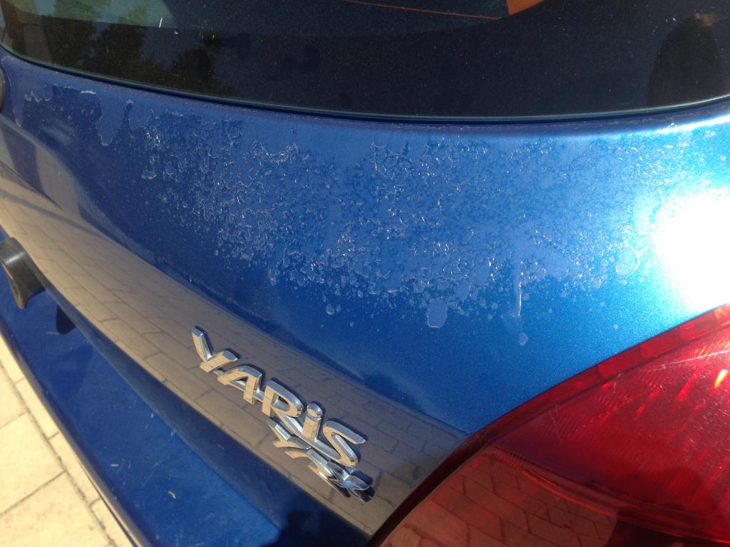 2013 Toyota Corolla clear coat seems to be peeling off. Started