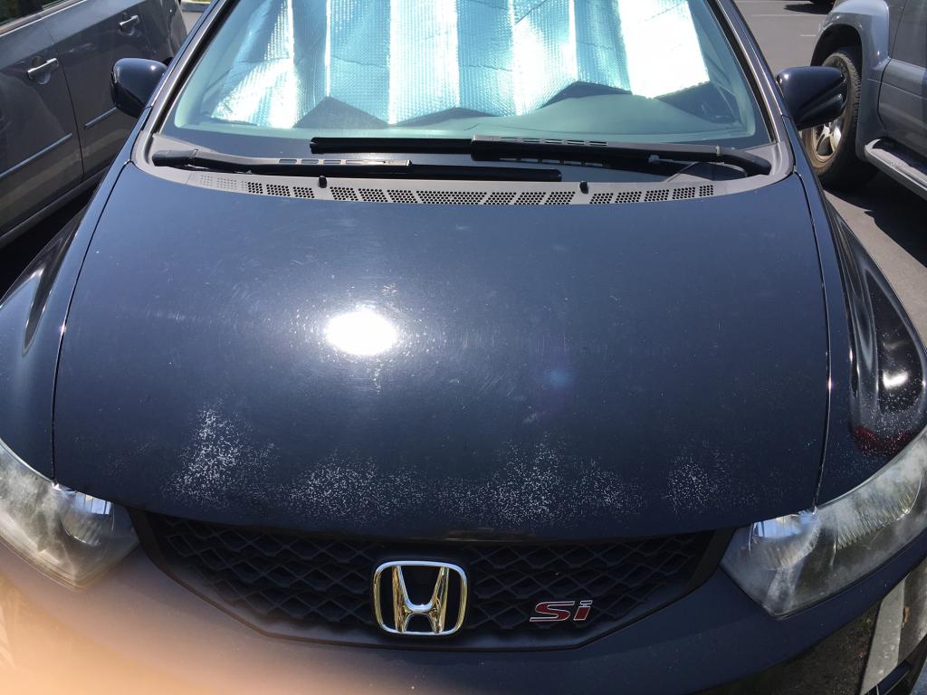 2009 Honda Civic Paint Oxidation And Cracks In Paint: 17 Complaints