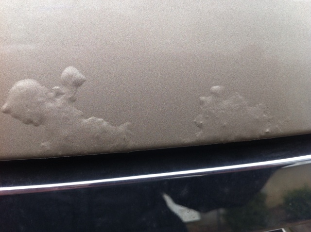 2007 Ford Expedition Paint Peeling Off: 9 Complaints