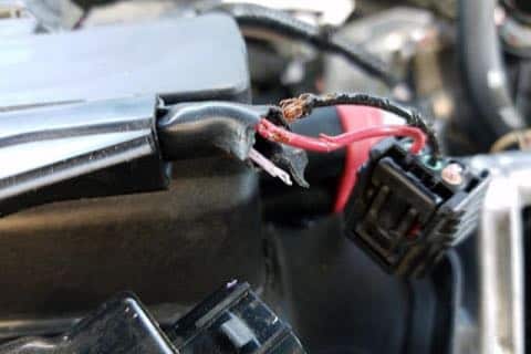Does Toyota Use Soy Based Wiring from cdn.carcomplaints.com