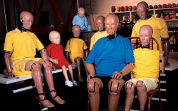 The Car Crash Test Dummy is No "Dummy"