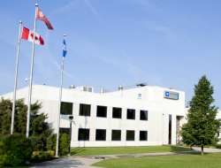 GM Hard Brake Pedals Investigated in Canada and U.S.