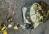 GM Argues Vacuum Pump Failure Lawsuit is Itself a Failure