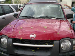 Hail-Damaged Cars Take Toll on Insurers