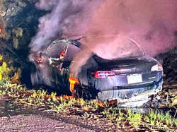 Hans Von Ohain Killed in Crash By Driving Drunk, Argues Tesla