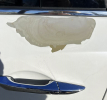 Honda White Paint Class Action Lawsuit Says Paint Peels