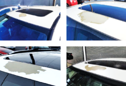 Honda White Paint Class Action Lawsuit Alive Again