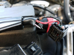 Honda Wiring Lawsuit Over Rodent Damage Dismissed