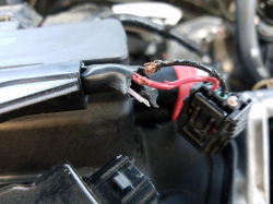 Honda Wiring Lawsuit Over Rodent Damage Dismissed 