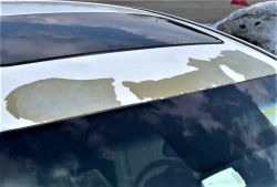 Hyundai White Paint Peels, Alleges Lawsuit in Canada