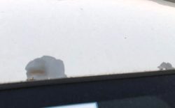 Nissan Kicks Peeling Paint Lawsuit Filed in Quebec
