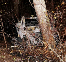 Samuel Tremblett Allegedly Died Due to Tesla Door Handles