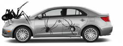 Suzuki Recalls Kizashi After Spiders Cause Gas Leaks