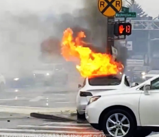 Tesla Argues Against Door Handle Lawsuit Allegations