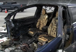 Fatal Tesla Model X Crash: Driver Was Playing Video Game